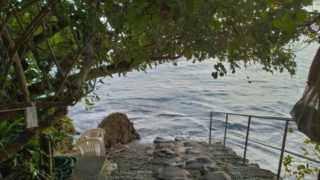 Thumbnail of post image 029