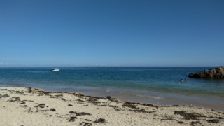 Thumbnail of post image 117