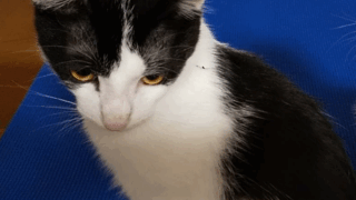 Thumbnail of post image 153