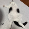 Thumbnail of related posts 029